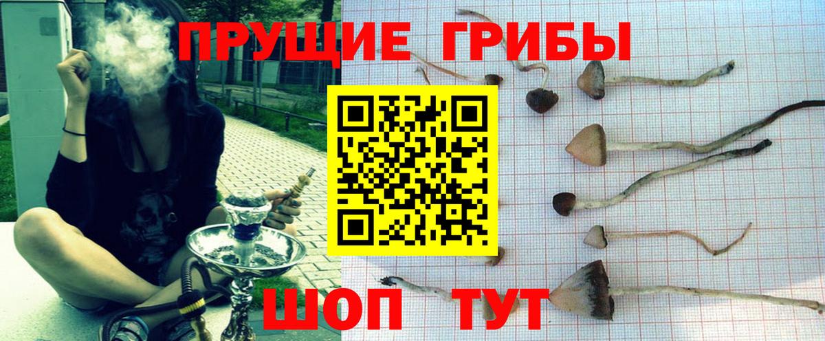 Галлюциногенные грибы Psilocybine cubensis  Псилоцибиновые грибы MAGIC MUSHROOMS  Вход с VPN  Пыть-Ях 